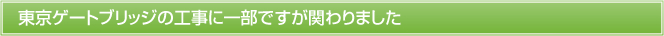 東京ゲートブリッジの工事に一部ですが関わりました